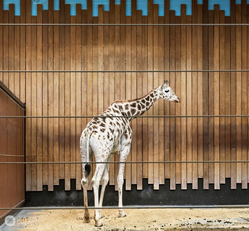 埃里克·裴欧 ERIC PILLOT：摄影比用文字描述有趣的多 Photography is much more fun 崇真艺客