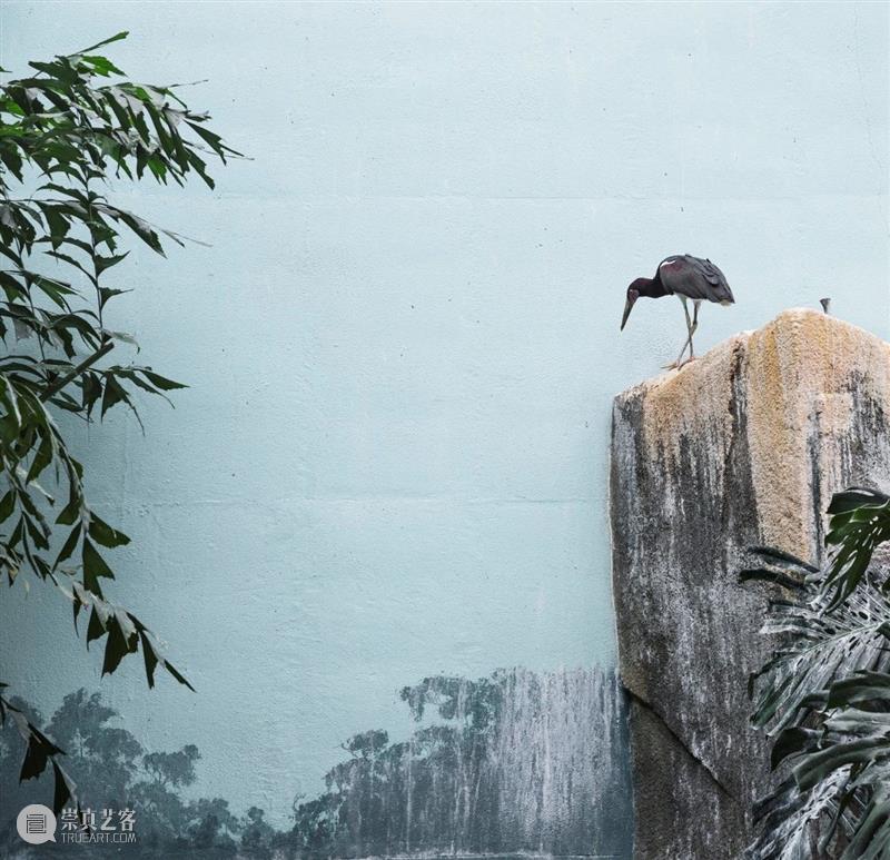 埃里克·裴欧 ERIC PILLOT：摄影比用文字描述有趣的多 Photography is much more fun 崇真艺客