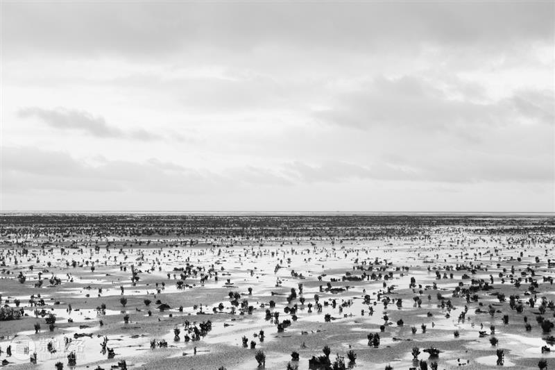 埃里克·裴欧 ERIC PILLOT：摄影比用文字描述有趣的多 Photography is much more fun 崇真艺客