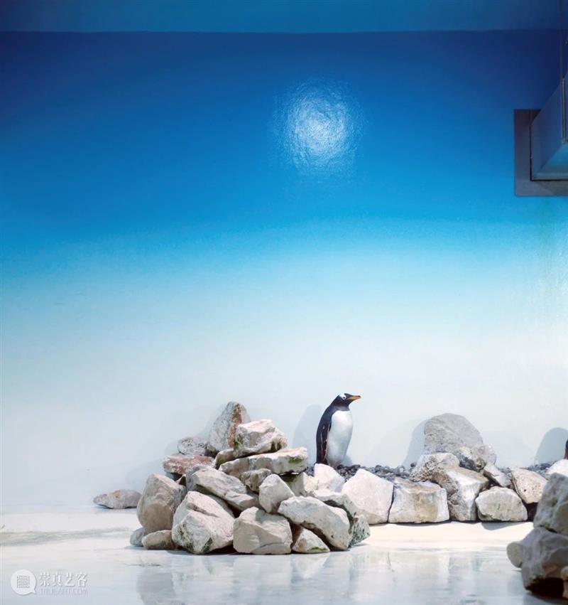 埃里克·裴欧 ERIC PILLOT：摄影比用文字描述有趣的多 Photography is much more fun 崇真艺客