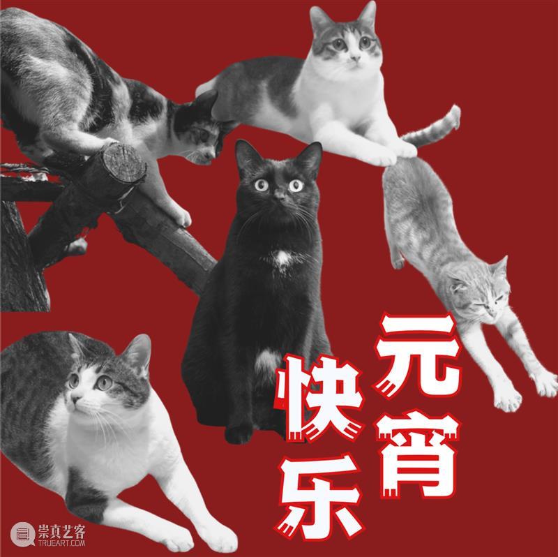 一个美术馆的基本素养：有猫大家吸！ 美术馆 素养 伙伴 一只猫 以上 海明威 喵星人 上海民生现代美术馆 合家 日子 崇真艺客