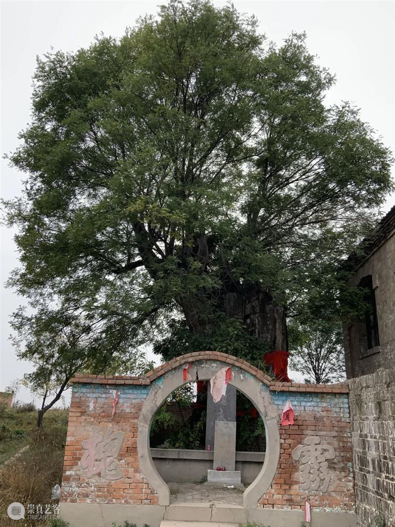 联合武道馆 — 编织|晋中地区宋金时期木构建筑中斜面梁栿成因解析 晋中地区 时期 木构 建筑 斜面 梁栿 成因 联合武道馆 来源 建筑学报 崇真艺客