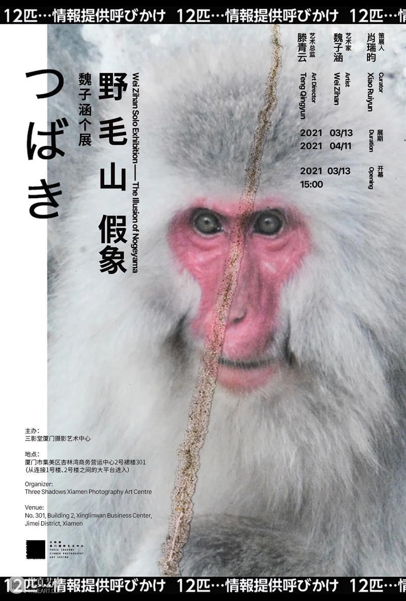 【展讯】魏子涵个展——野毛山假象 | 三影堂无界项目 魏子涵 个展 假象 展讯 三影堂 项目 艺术家 策展人 肖瑞 艺术 崇真艺客