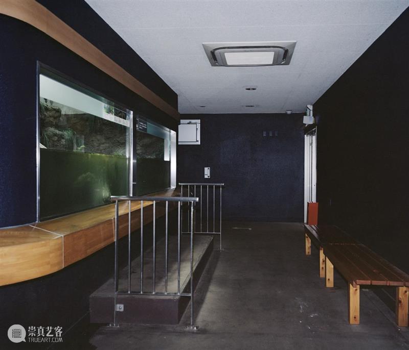 【展讯】魏子涵个展——野毛山假象 | 三影堂无界项目 魏子涵 个展 假象 展讯 三影堂 项目 艺术家 策展人 肖瑞 艺术 崇真艺客