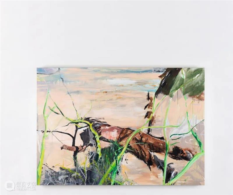 科林画廊FIAC 线上展厅 科林画廊FIAC 线上 展厅 VIP 公众 伊丽莎白·玛吉 Elizabeth Magill 伊莎贝尔·诺兰 Isabel 崇真艺客