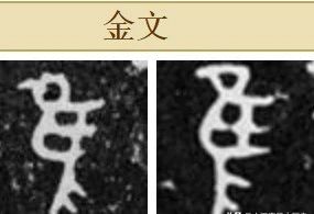 识文断字：释网友的青铜器金文 网友 青铜器 金文 照片 约数 地方 次序 殷周 标准 格式 崇真艺客