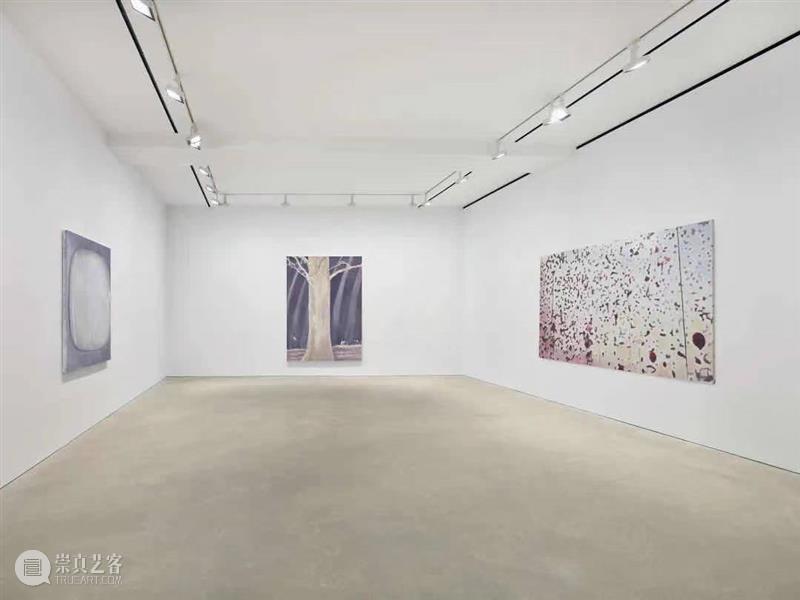 新展开幕 | 2021.03.01-2021.03.14 即将开幕 崇真艺客