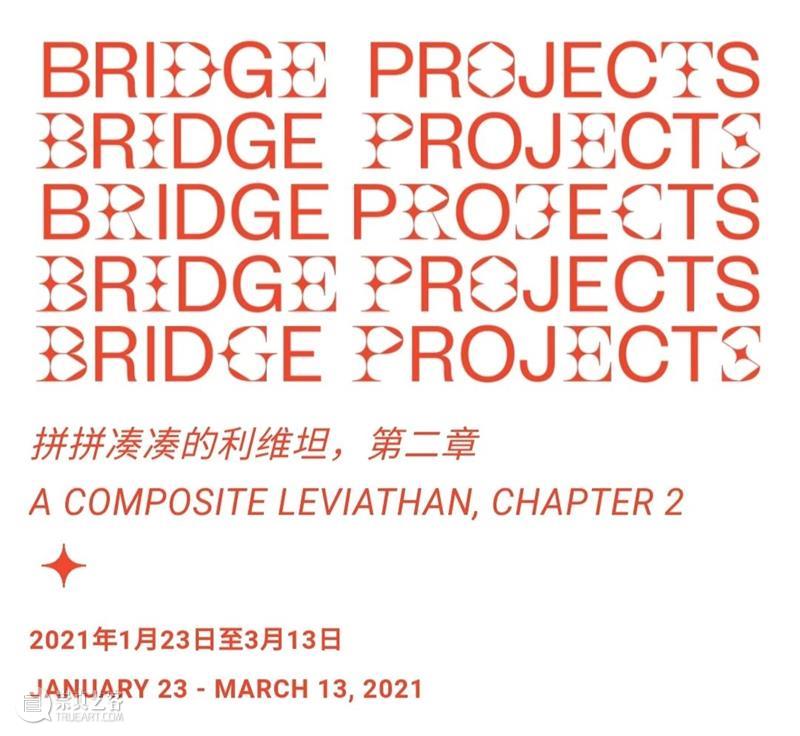 TELESCOPE 访谈｜Bridging Beijing: Stephen Gleadow 斯蒂芬·格莱多 视频资讯 TELESCOPE 斯蒂芬 格莱多 Gleadow TELESCOPE Bridging Beijing 利维坦 艺术家们 系列 观众 崇真艺客