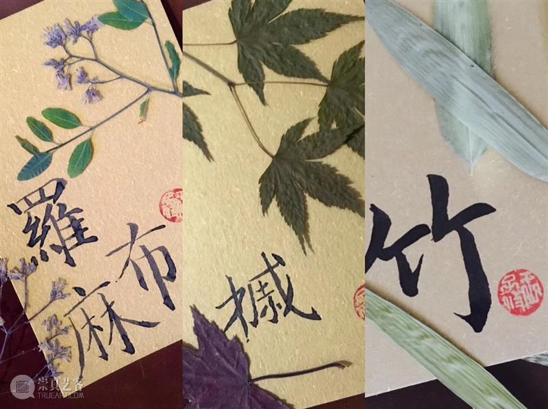 女神节福利，手慢无！  王子攸 女神 福利 裙装 英国 VA博物馆 节日 维多利亚 时代 草木 时尚 崇真艺客