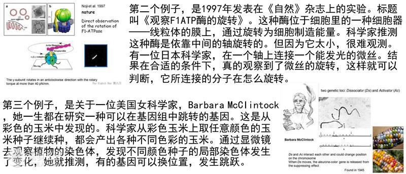 【生生】自然、人和技术的生产| 生产厅（III） 视频资讯 空间站艺术中心 崇真艺客