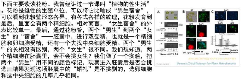 【生生】自然、人和技术的生产| 生产厅（III） 视频资讯 空间站艺术中心 崇真艺客