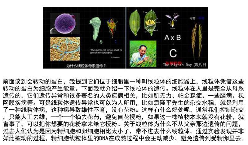 【生生】自然、人和技术的生产| 生产厅（III） 视频资讯 空间站艺术中心 崇真艺客