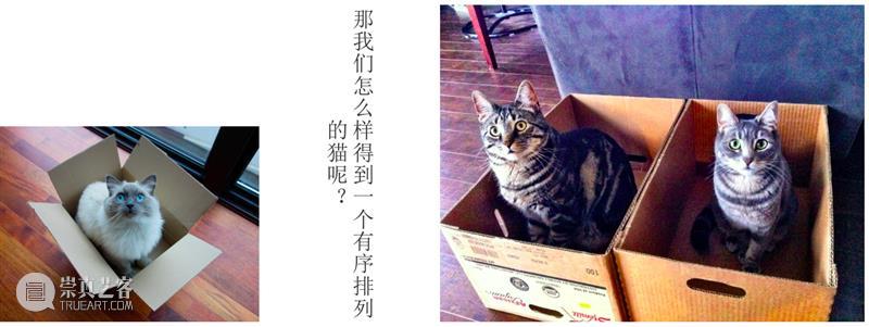 【生生】自然、人和技术的生产| 生产厅（III） 视频资讯 空间站艺术中心 崇真艺客