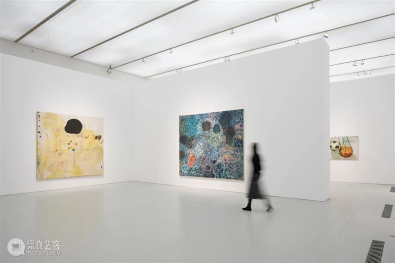 最后48小时，“张恩利个展：会动的房间”即将闭幕 张恩利 个展 房间 现场 帷幕 生涯 风格 艺术家 规模 内容 崇真艺客
