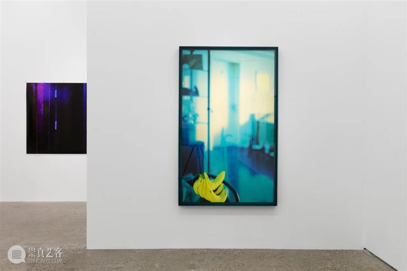 展览现场 | 胡介鸣：格物·2020 胡介鸣 格物 现场 个展 魔金石空间 until April 系列 主体 对象 崇真艺客
