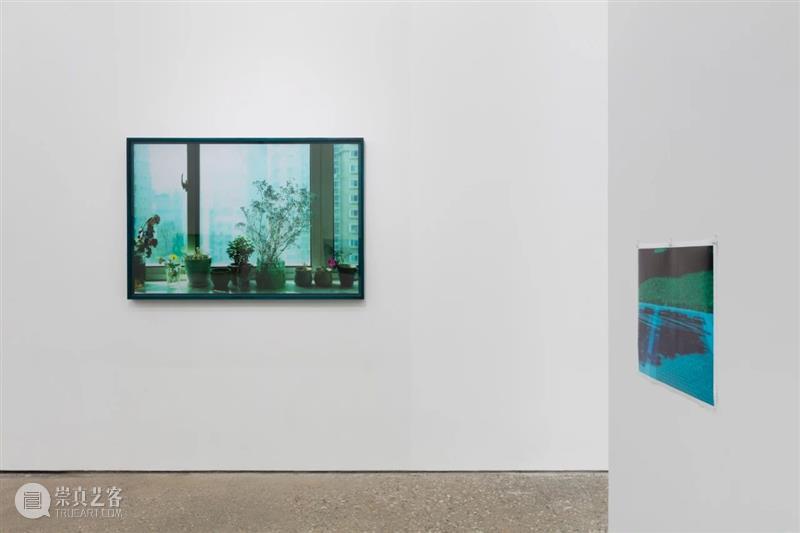 展览现场 | 胡介鸣：格物·2020 胡介鸣 格物 现场 个展 魔金石空间 until April 系列 主体 对象 崇真艺客