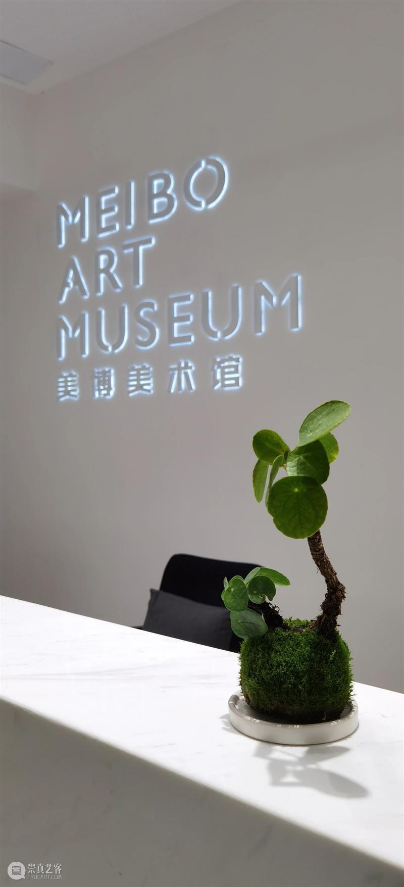 开幕现场 | 志生:小径分岔的花园艺术展 盛大开幕 志生 小径分岔的花园 现场 艺术展 盛大 SPRING 美博美术馆 主题 品牌 年头 崇真艺客