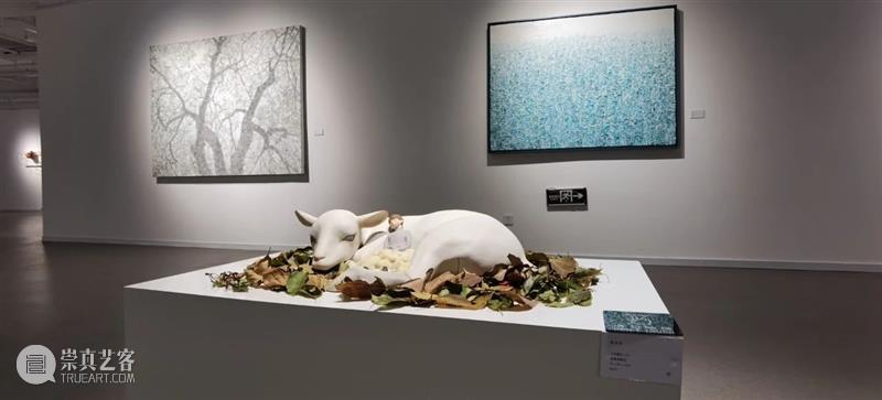 开幕现场 | 志生：小径分岔的花园艺术展 盛大开幕 志生 小径分岔的花园 现场 艺术展 盛大 SPRING 美博美术馆 主题 品牌 年头 崇真艺客
