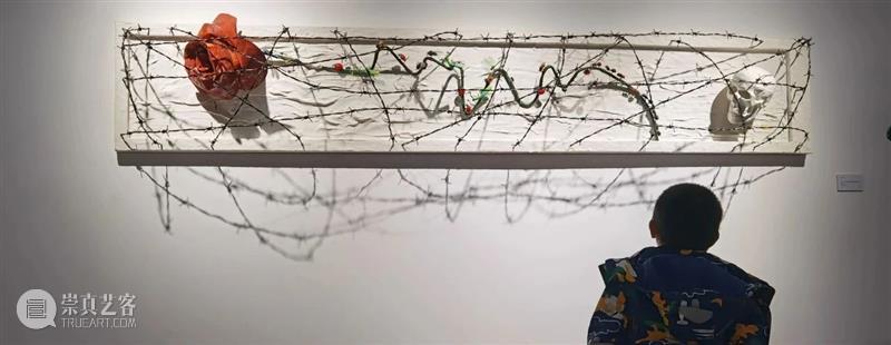 开幕现场 | 志生:小径分岔的花园艺术展 盛大开幕 志生 小径分岔的花园 现场 艺术展 盛大 SPRING 美博美术馆 主题 品牌 年头 崇真艺客