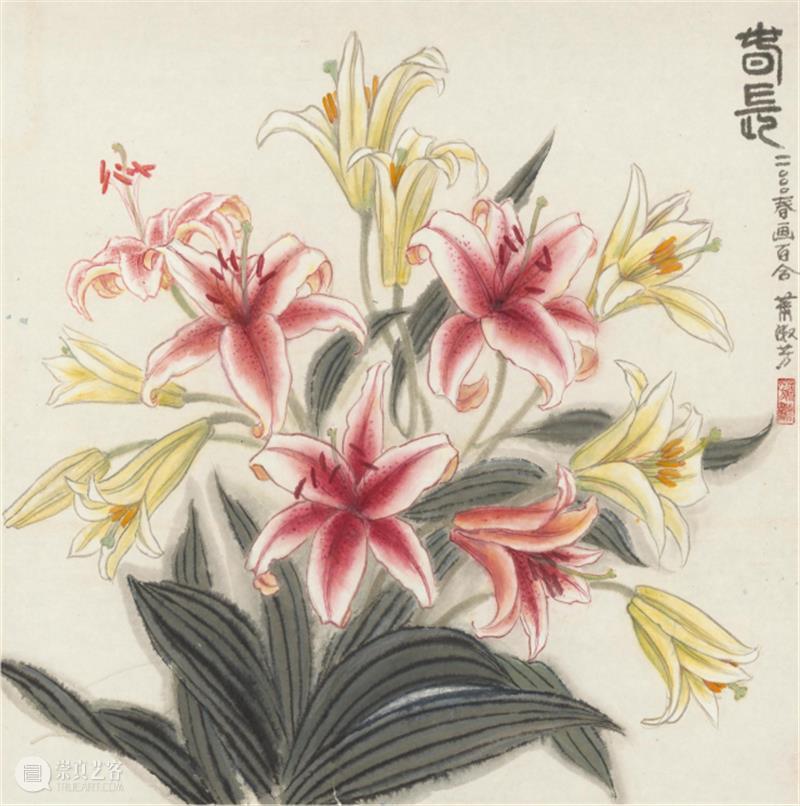 【中华艺术宫 | 轻悦读】萧淑芳《春长》:充满灵动之美 萧淑芳 春长 中华艺术宫 中国 百合 对象 花朵 枝叶 彩色 虚灵 崇真艺客
