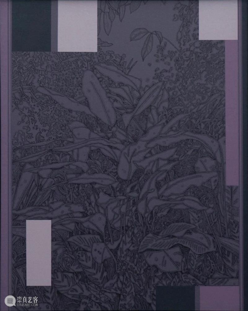 礼物作品解读 | 在文化与城市边界的艺术碰撞 礼物 艺术 作品 文化 城市 边界 现场 张周 个人 想法 崇真艺客