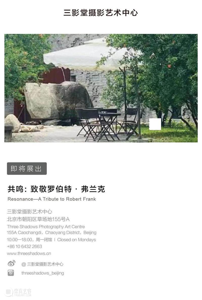 「樱·影园游会」展商招募｜来和樱花约会吧！ 展商 影园 樱花 时间 展位 地点 三影堂摄影艺术中心庭院 北京市朝阳区 草场地 万物 崇真艺客