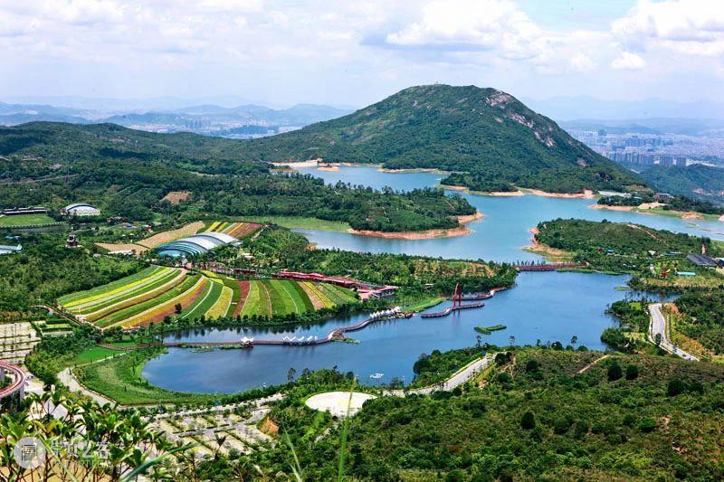 华侨城获评2020中国文化和旅游企业品牌价值榜前三强 华侨城 中国 文化 企业 品牌 价值 本文 微信公众号 近期 榜单 崇真艺客