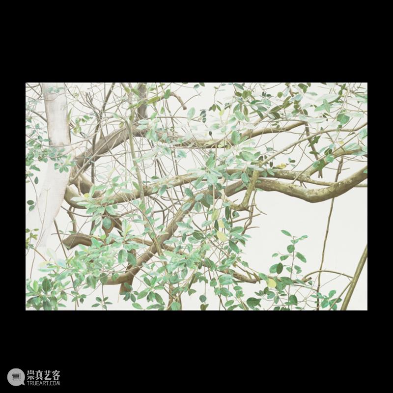 节日快乐｜女性艺术家的一百种面貌 女性 艺术家 面貌 卓纳 画廊 本文 阵容 片段 艺术 长河 崇真艺客