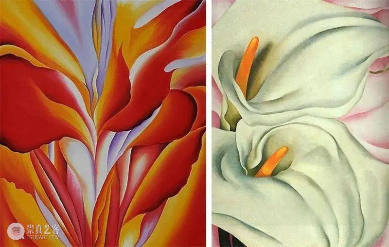 乔治亚·奥基夫：没有人真正看过一朵花 乔治亚 奥基夫 一朵花 文章 公众 艺术 Art 美国 北部 威斯康星州 崇真艺客