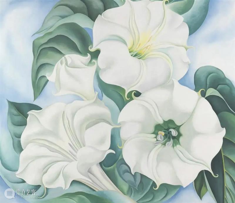 乔治亚·奥基夫：没有人真正看过一朵花 乔治亚 奥基夫 一朵花 文章 公众 艺术 Art 美国 北部 威斯康星州 崇真艺客