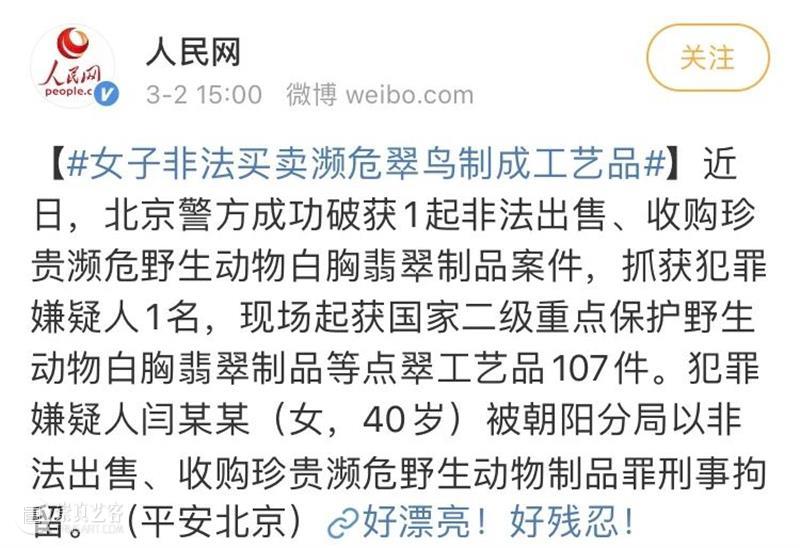 血染的奢华：追捧点翠合理吗？ 血染 汉服 首饰 动物 非遗 问题 人们 点翠替代品 翠鸟 古代 崇真艺客
