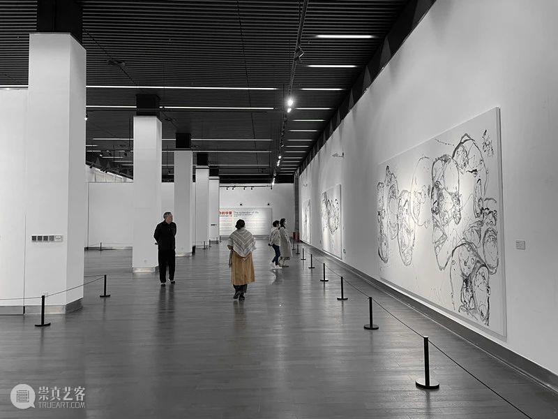 对话“说话系列”·蒲国昌 李勇 李勇 系列 蒲国昌 蒲国昌先生 时间 地点 贵州大学 西校区 艺术 蒲老师 崇真艺客