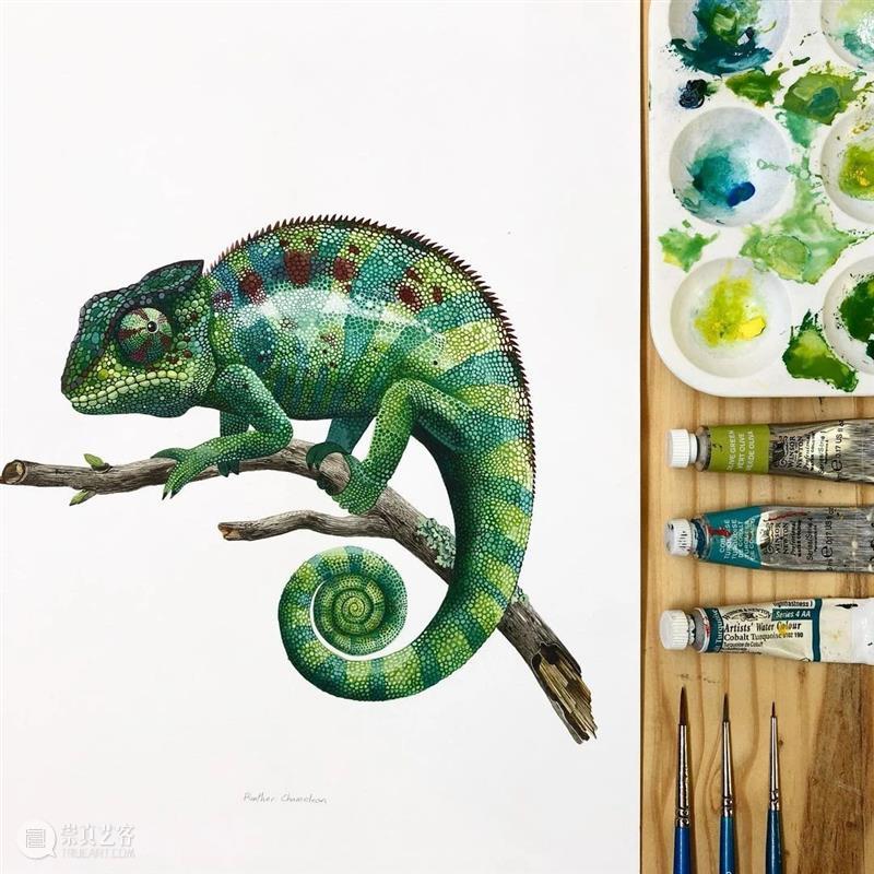 水彩里的动物世界，好神奇 ！—— Georgina Taylor 作品 水彩 动物 世界 Georgina Taylor 作品 END 崇真艺客