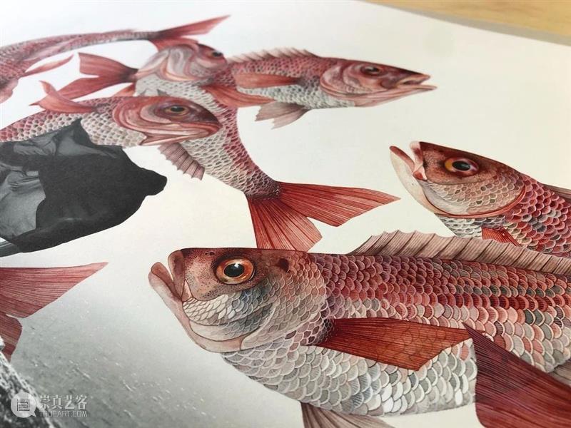 水彩里的动物世界，好神奇 ！—— Georgina Taylor 作品 水彩 动物 世界 Georgina Taylor 作品 END 崇真艺客