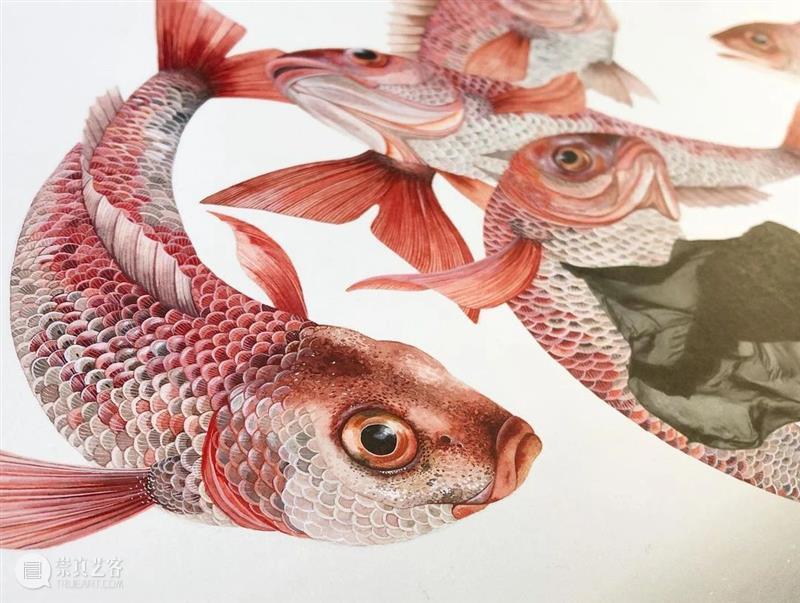 水彩里的动物世界，好神奇 ！—— Georgina Taylor 作品 水彩 动物 世界 Georgina Taylor 作品 END 崇真艺客
