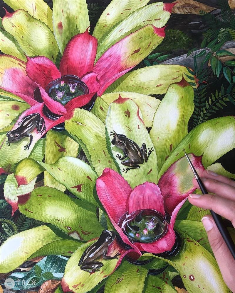 水彩里的动物世界，好神奇 ！—— Georgina Taylor 作品 水彩 动物 世界 Georgina Taylor 作品 END 崇真艺客