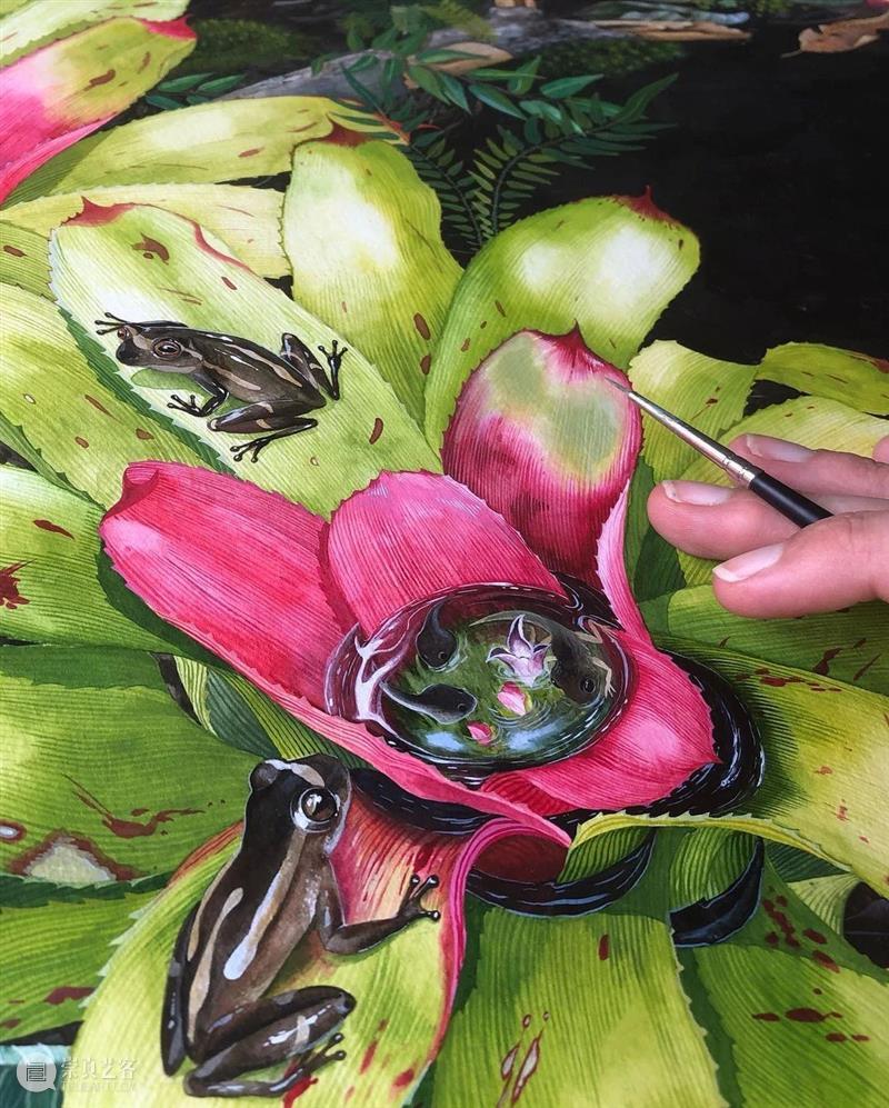 水彩里的动物世界，好神奇 ！—— Georgina Taylor 作品 水彩 动物 世界 Georgina Taylor 作品 END 崇真艺客