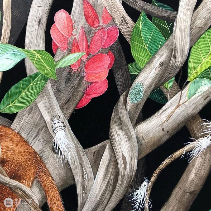 水彩里的动物世界，好神奇 ！—— Georgina Taylor 作品 水彩 动物 世界 Georgina Taylor 作品 END 崇真艺客