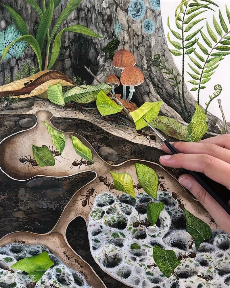 水彩里的动物世界，好神奇 ！—— Georgina Taylor 作品 水彩 动物 世界 Georgina Taylor 作品 END 崇真艺客
