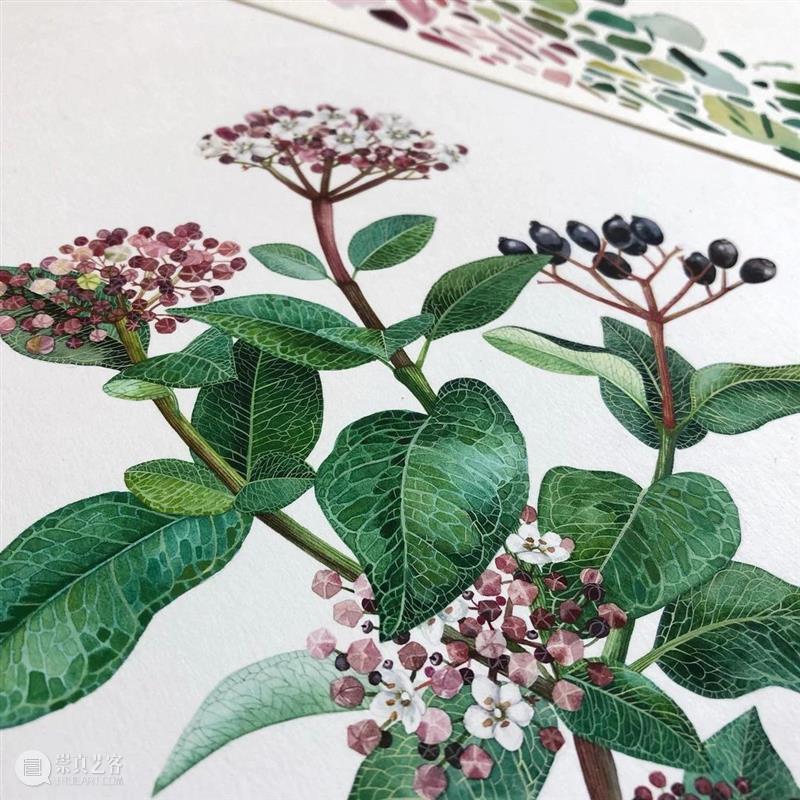 水彩里的动物世界，好神奇 ！—— Georgina Taylor 作品 水彩 动物 世界 Georgina Taylor 作品 END 崇真艺客