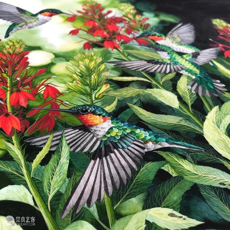 水彩里的动物世界，好神奇 ！—— Georgina Taylor 作品 水彩 动物 世界 Georgina Taylor 作品 END 崇真艺客