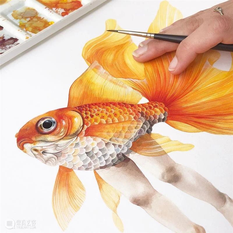 水彩里的动物世界，好神奇 ！—— Georgina Taylor 作品 水彩 动物 世界 Georgina Taylor 作品 END 崇真艺客