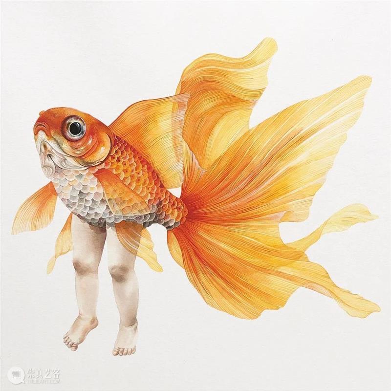 水彩里的动物世界，好神奇 ！—— Georgina Taylor 作品 水彩 动物 世界 Georgina Taylor 作品 END 崇真艺客