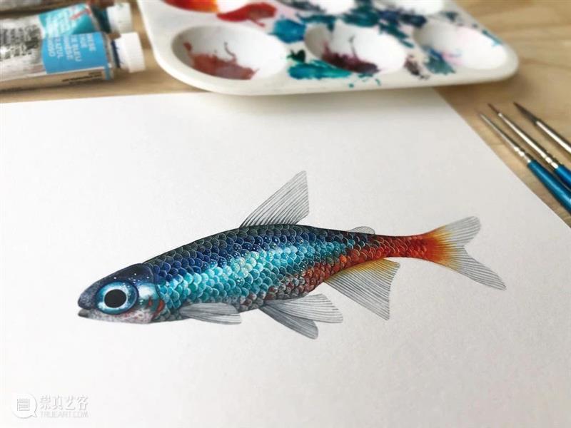 水彩里的动物世界，好神奇 ！—— Georgina Taylor 作品 水彩 动物 世界 Georgina Taylor 作品 END 崇真艺客