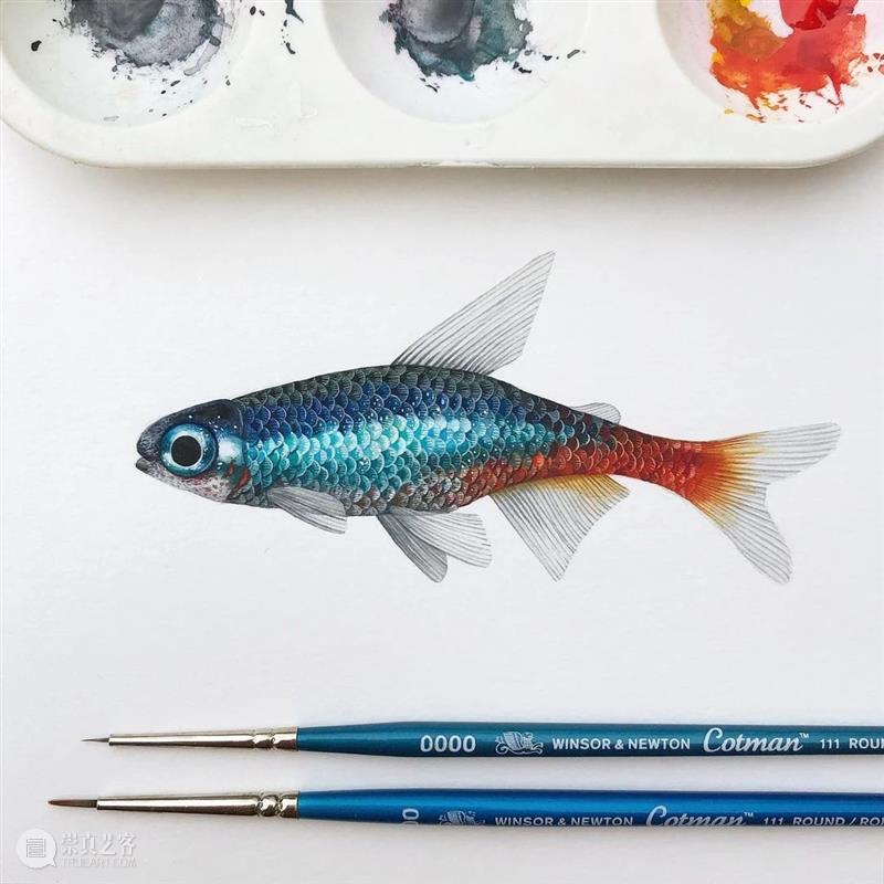 水彩里的动物世界，好神奇 ！—— Georgina Taylor 作品 水彩 动物 世界 Georgina Taylor 作品 END 崇真艺客