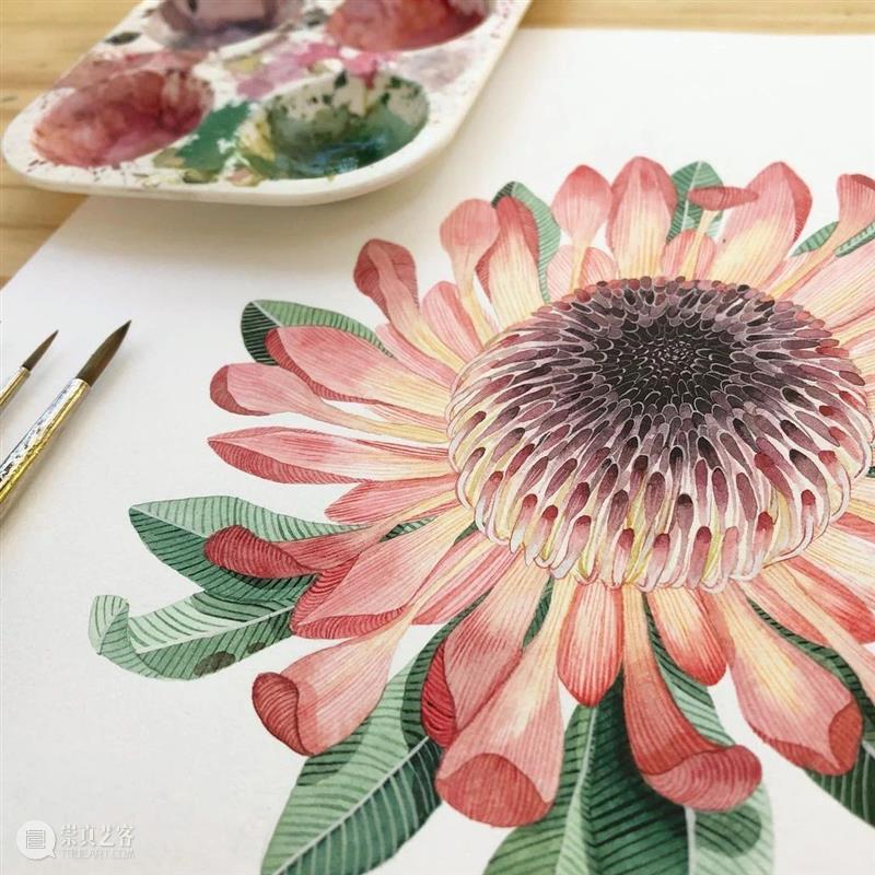 水彩里的动物世界，好神奇 ！—— Georgina Taylor 作品 水彩 动物 世界 Georgina Taylor 作品 END 崇真艺客