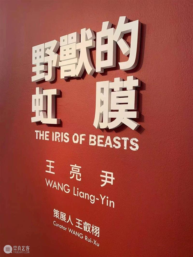 展覽現場｜王亮尹—野獸的虹膜 王亮 尹—野獸 虹膜 展覽現場｜ Liang Yin Curator 王叡栩 Rui 展期 崇真艺客