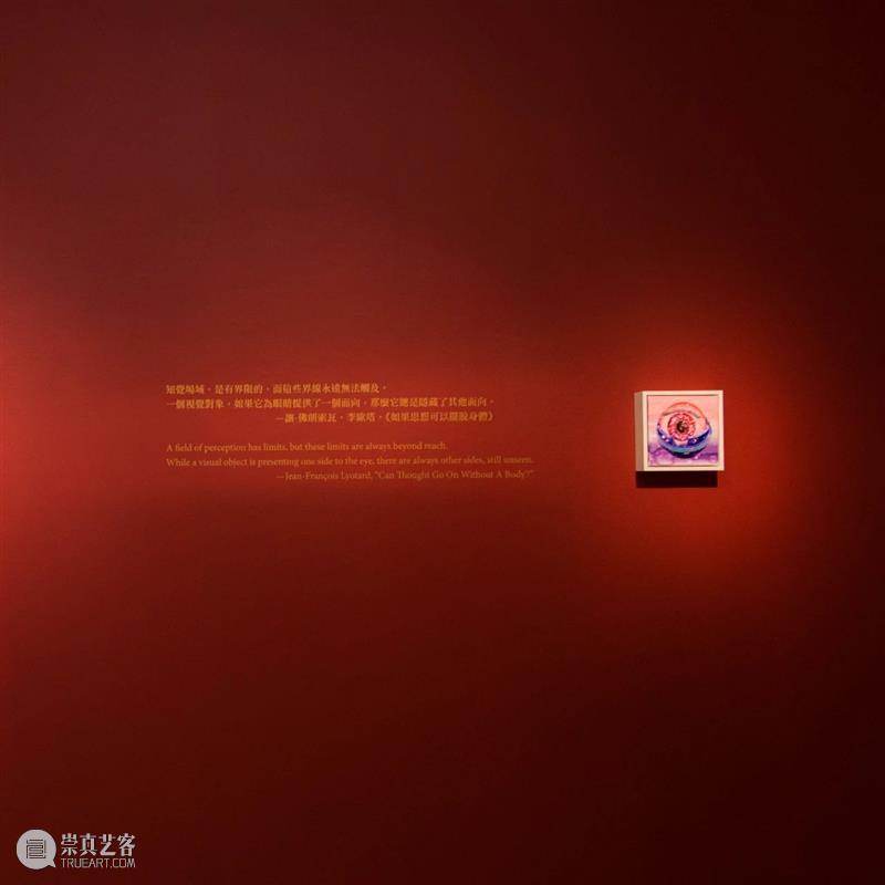 展覽現場｜王亮尹—野獸的虹膜 王亮 尹—野獸 虹膜 展覽現場｜ Liang Yin Curator 王叡栩 Rui 展期 崇真艺客