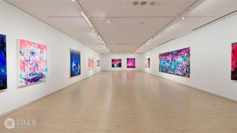 展覽現場｜王亮尹—野獸的虹膜 王亮 尹—野獸 虹膜 展覽現場｜ Liang Yin Curator 王叡栩 Rui 展期 崇真艺客