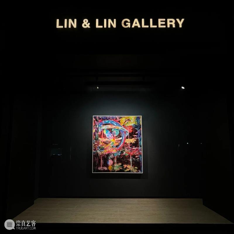 展覽現場｜王亮尹—野獸的虹膜 王亮 尹—野獸 虹膜 展覽現場｜ Liang Yin Curator 王叡栩 Rui 展期 崇真艺客